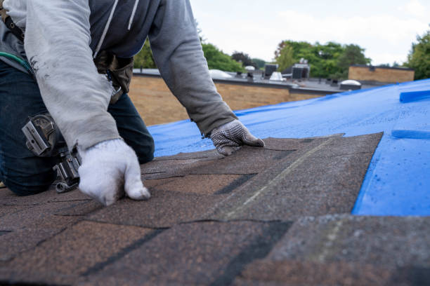 Best Roof Gutter Cleaning  in Montalvin Manor, CA